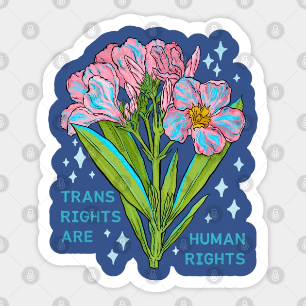 Trans Rights Are Human Rights Sticker by FabulouslyFeminist